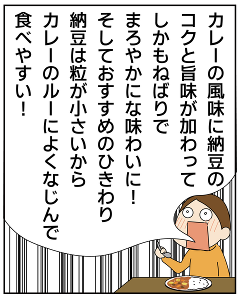 20270612納豆カレー_7