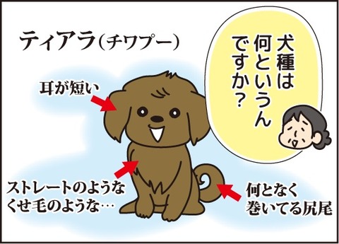 20170724チワフ1