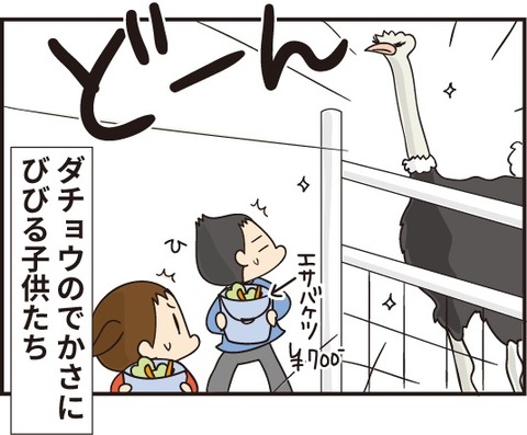 20190309ダチョウ王国2