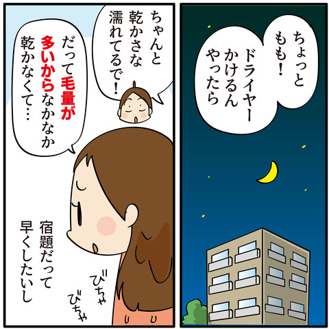 毛量が多い長女へ…我が家にアイツがやってきた！【PR】