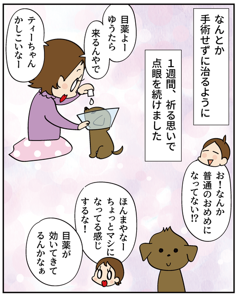 202506315ティアラ2_6