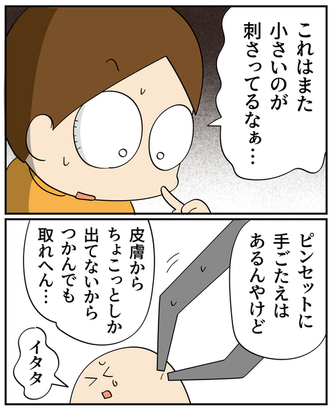 20250129とげ_3