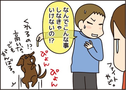 20161121犬嫌い4