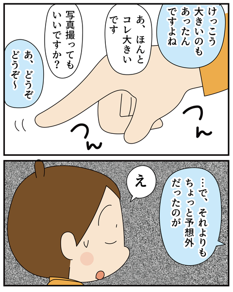 20270526ティアラ5_3