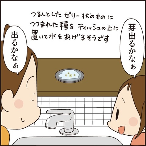 202008028トマトを育てよう3