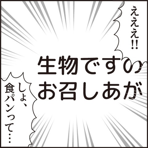 20200911りく天然5