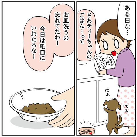 20241101紙皿2_5