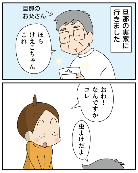 20270528びっくり虫よけ_2