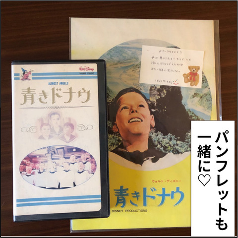20201012青きドナウ7