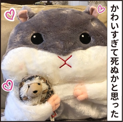 20200706椅子の背もたれ10