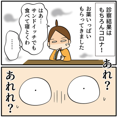 今回の病気はコレでした②