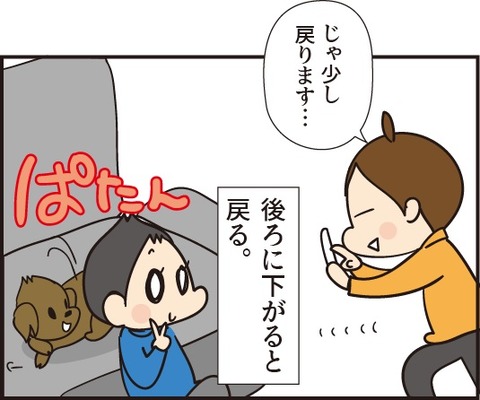 20181115シャッターチャンス4
