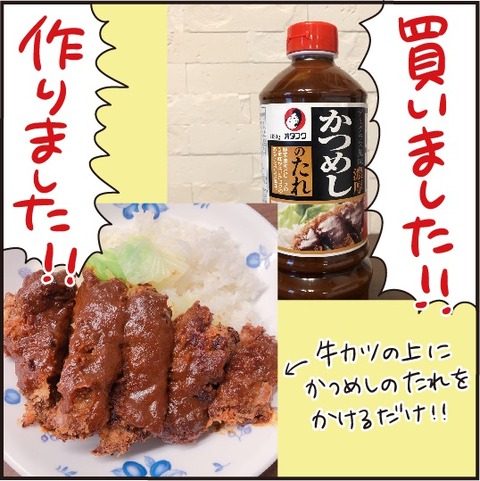 202008016カツメシ6