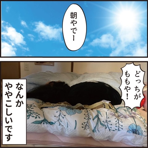 202200809なんでも買ったる12