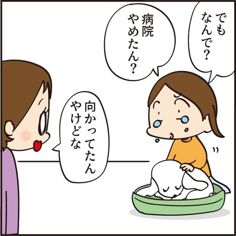 20210905犬好きの父11