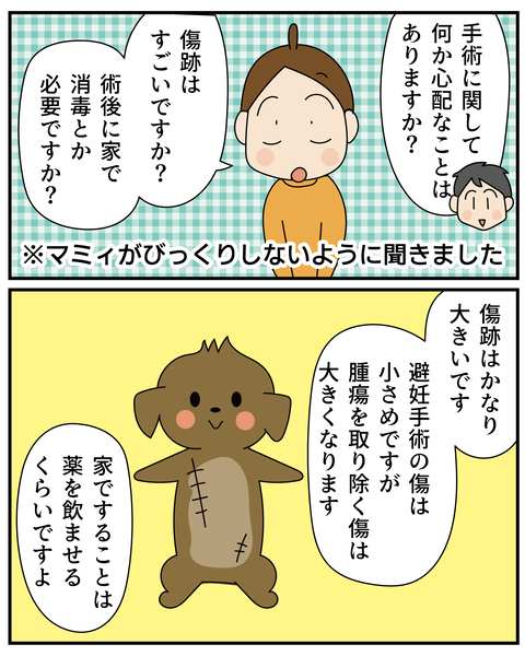 20270526ティアラ3_6