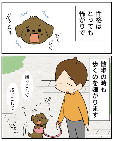 202506315ティアラ1_3