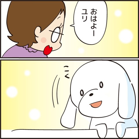 母と「言葉がわかる犬」