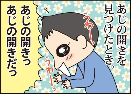 20150519あじのひらき2