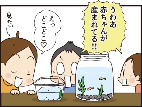 20190724赤ちゃんが生まれた3