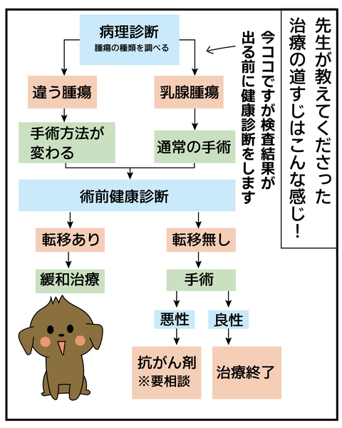 20270526ティアラ2_7