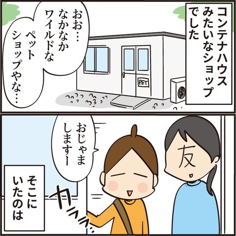 20220313ティアラが来るまで3