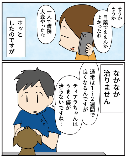 202506315ティアラ2_4