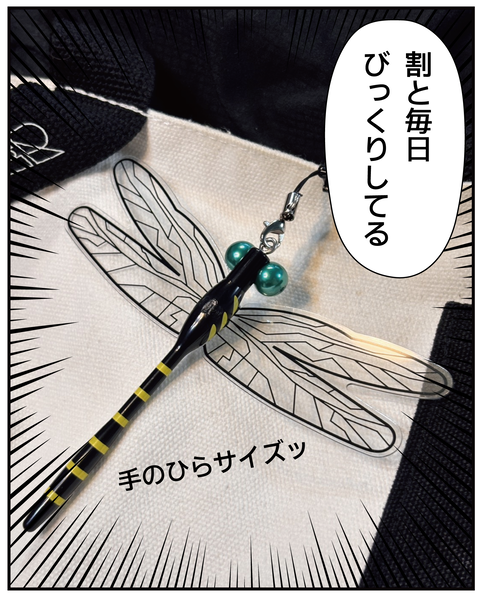 20270528びっくり虫よけ_6