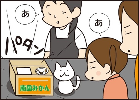 20180316猫の貯金箱6