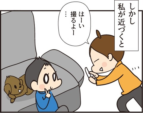 20181115シャッターチャンス2