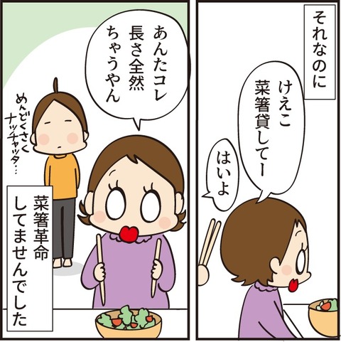 20230320菜箸2