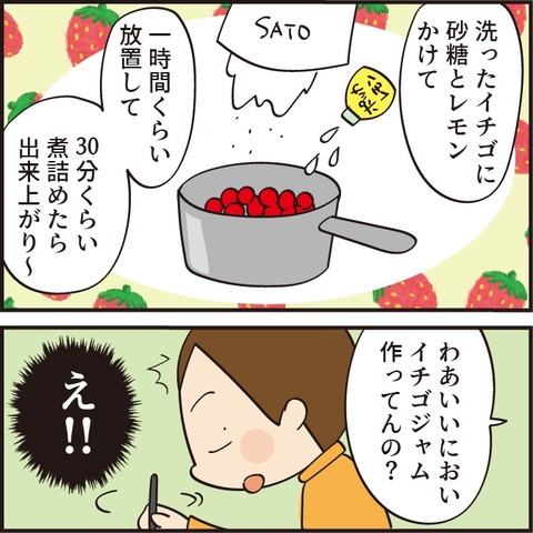 20230317イチゴジャム2