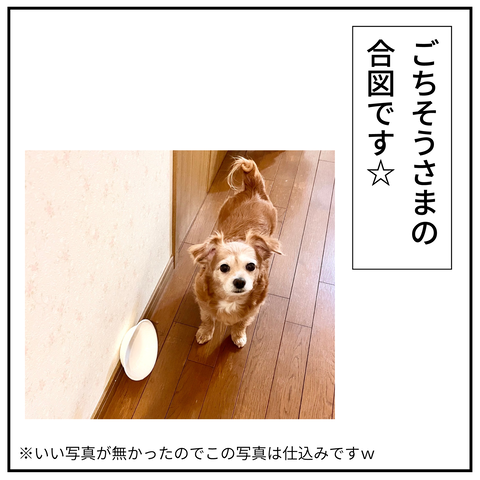 20241101紙皿2_9