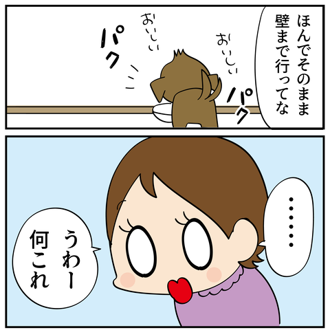 20241101紙皿2_7