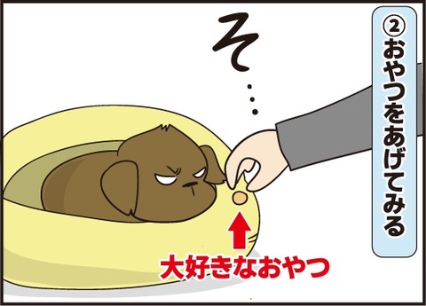 20190522ティアラと仲良く3