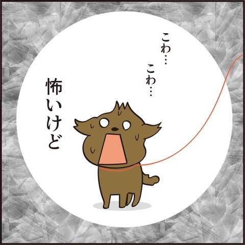 20210424逃げ逃げ散歩7