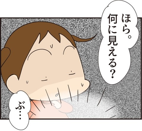 20190427豚肉のお菓子4