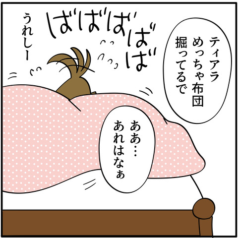 20230824嬉しティアラ-07
