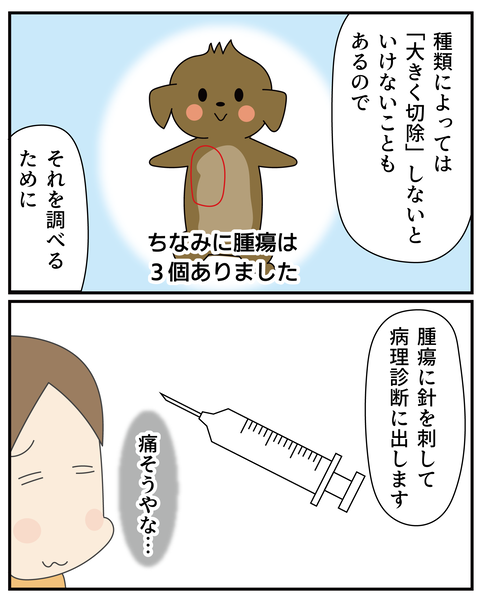 20270526ティアラ2_4