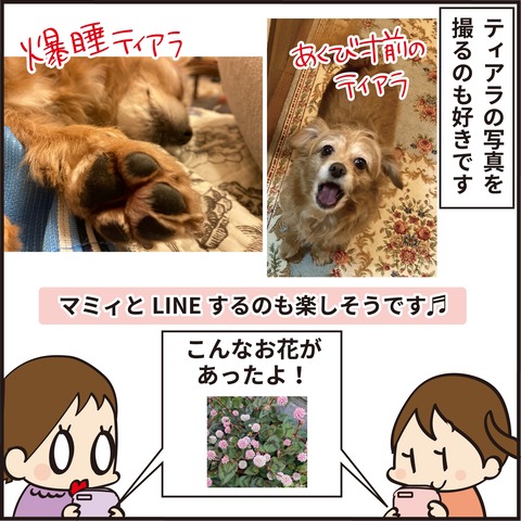 20210501写真好きもも6
