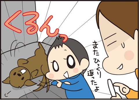 20181115シャッターチャンス6