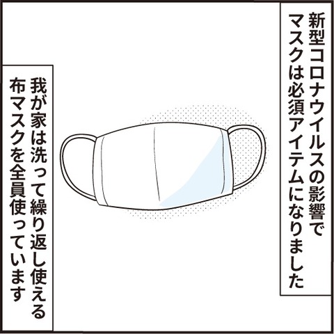 20200722マスク入れ1
