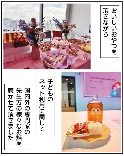 20270309メタ_6