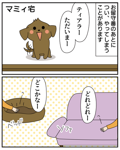 20270312寝てた場所_2