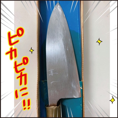 20210723お魚がきた5