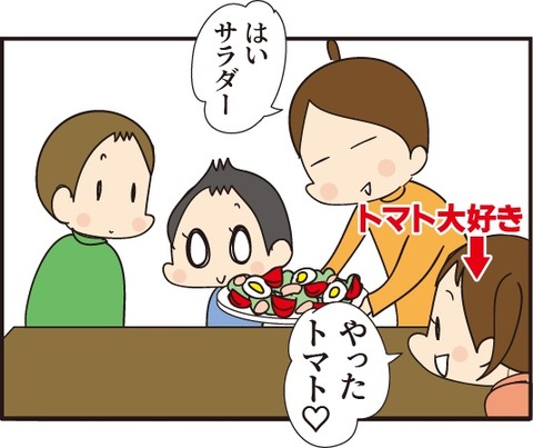 20190326トマトの種1