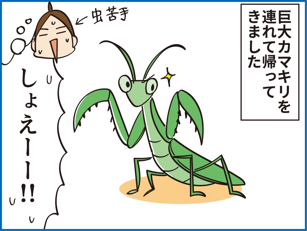 小1長男がつけた カマキリの名前 がすごかった ほわわん子育て絵日記 Powered By ライブドアブログ 小1長男がつけた カマキリの名前 がすごかった ほわわん子育て絵日記 Powered By ライブドアブログ