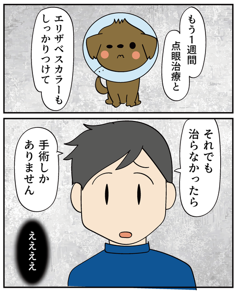 202506315ティアラ2_5