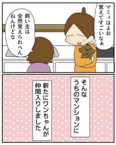 20270301犬来た_4