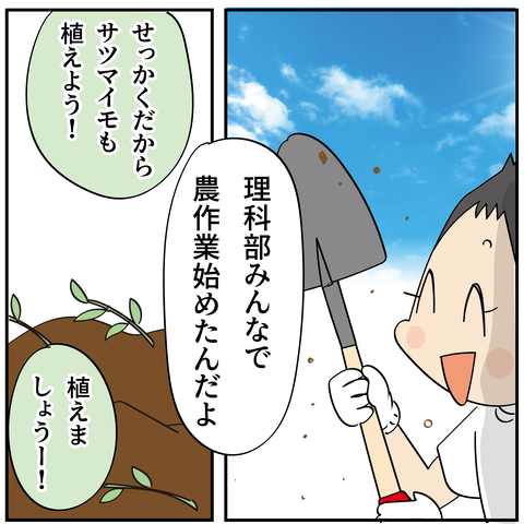 20240517農作業_4